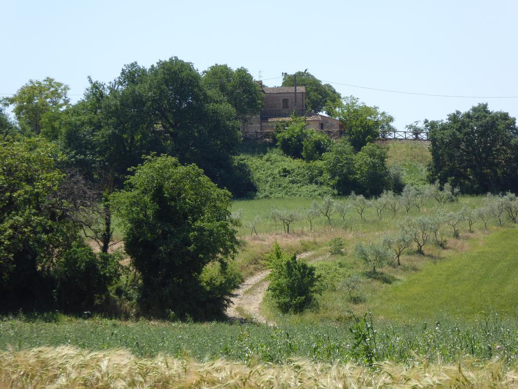 Villa Pietre Di Fiume à Apice Extérieur photo